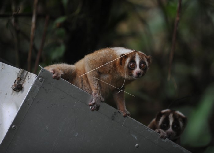 antarafoto.com/peristiwa/v146…