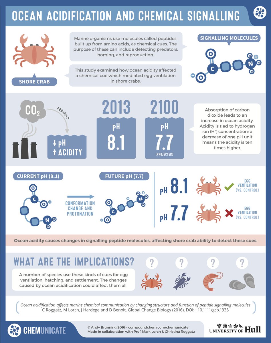 Mark_Lorch's tweet photo. CO2 emissions are changing the smell of the sea https://t.co/nC4ZfSgydJ #realtimechem via @GlobalChangeBio https://t.co/rHaDpDRu2w