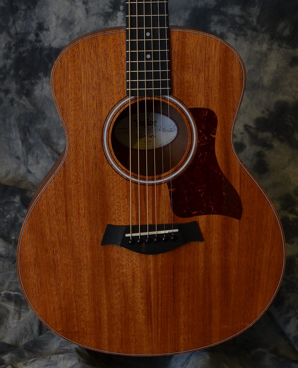 M_Atkinson_'s tweet photo. Best guitar for beginners? Cheap but luxury? Pick it! Taylor GS Mini Mahogany Guitar
https://t.co/P15sEev17J https://t.co/8GaJ5qV5wv