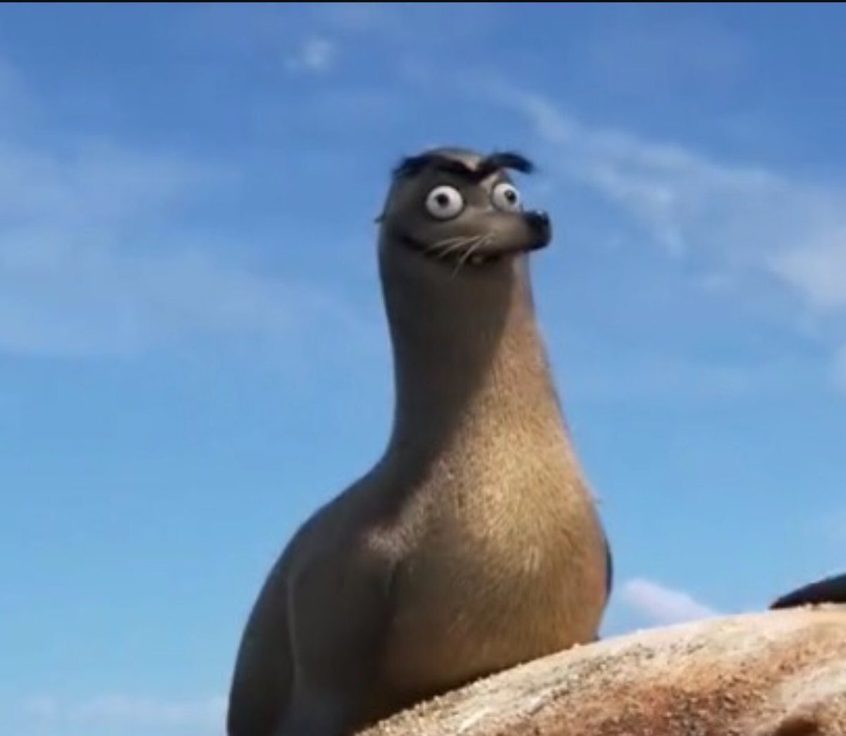 alldancersprobs's tweet photo. When you're in a technique class and the girl next to you does 8 pirouettes https://t.co/MxScZn6cIu
