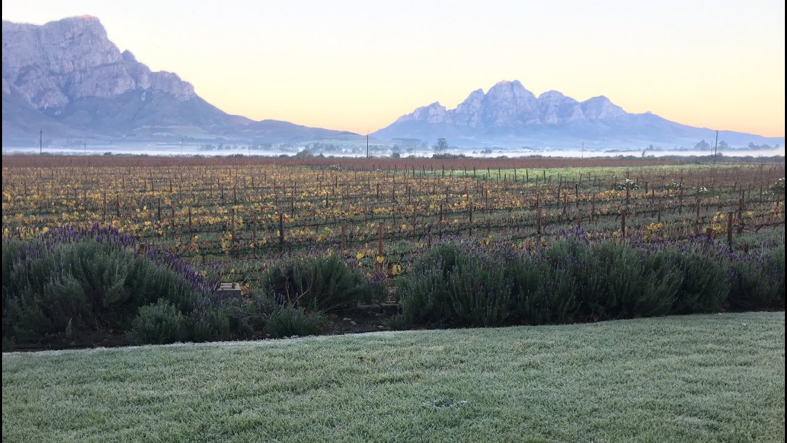 AKKERDAL's tweet photo. #ChillyThursday op Akkerdal 0 grade en lekker wit geryp...#AkkerdalSyrah en #LambShank aand  #winelover #wineoclock https://t.co/6ctU8rTAPl