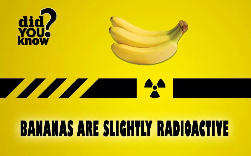 MyFiscus_com's tweet photo. DYK: Bananas are slightly Radioactive. 
Buy Grocery, FRESH #fruits #vegetables #OnlineGrocery #Pune #DidYouKnow https://t.co/FIdNR6zXde