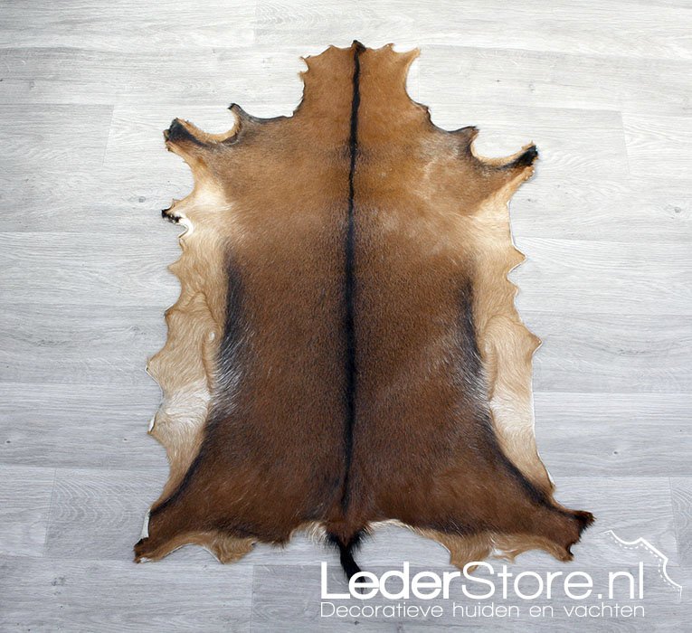 LederstoreNL's tweet photo. Yesssss! We hebben weer nieuwe #geitenhuiden binnen gekregen. Bekijk direct op-> https://t.co/p3FvQnwyK8 #Lederstore https://t.co/ZjHf9Y7IWZ