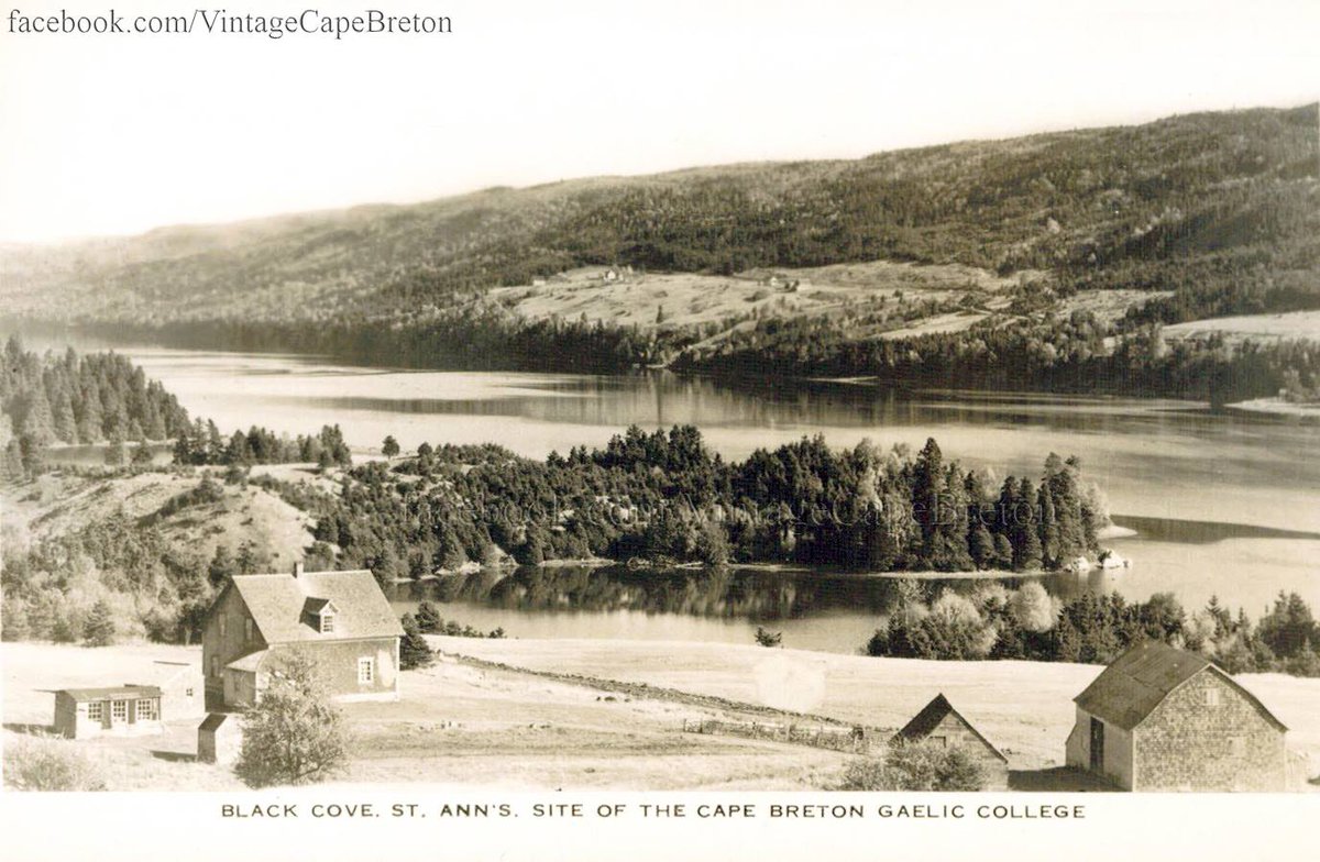 Cape Breton Island tweet media