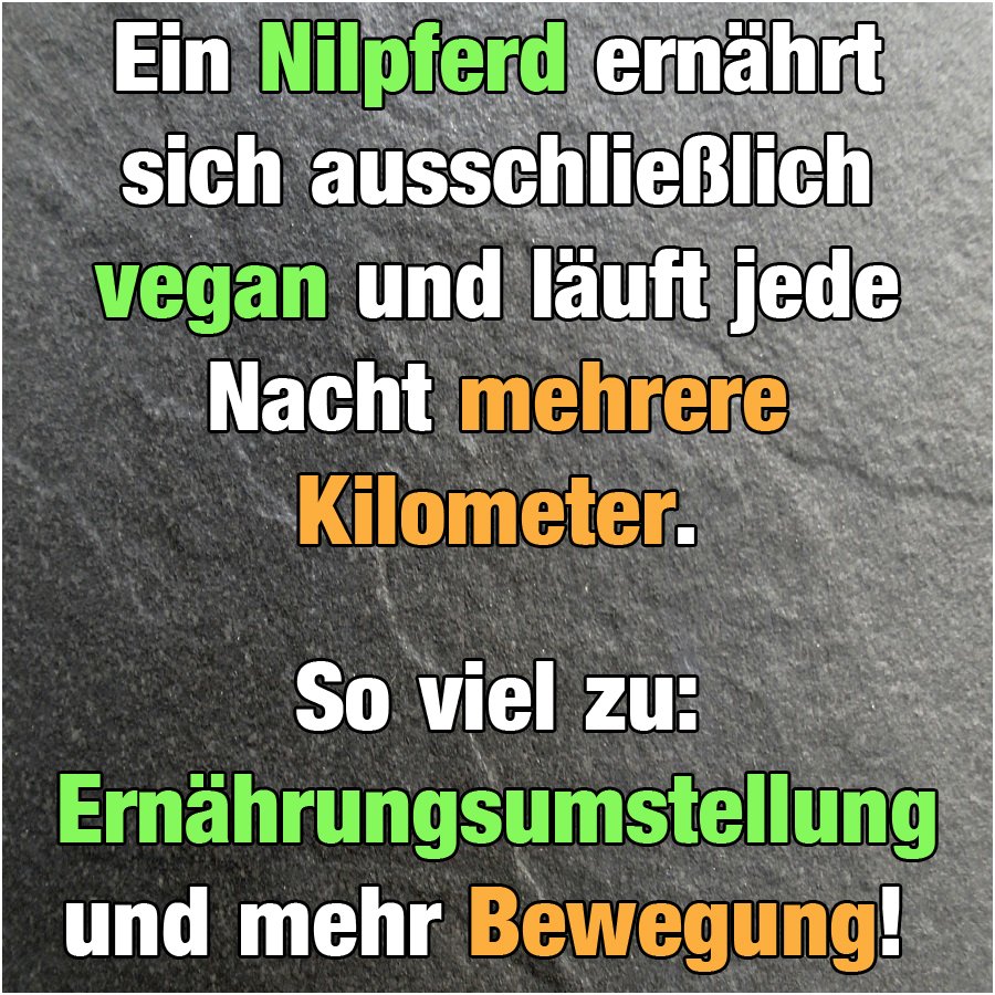 #vegan #funny #witz #witzig #lustig #humor #lachen #joke