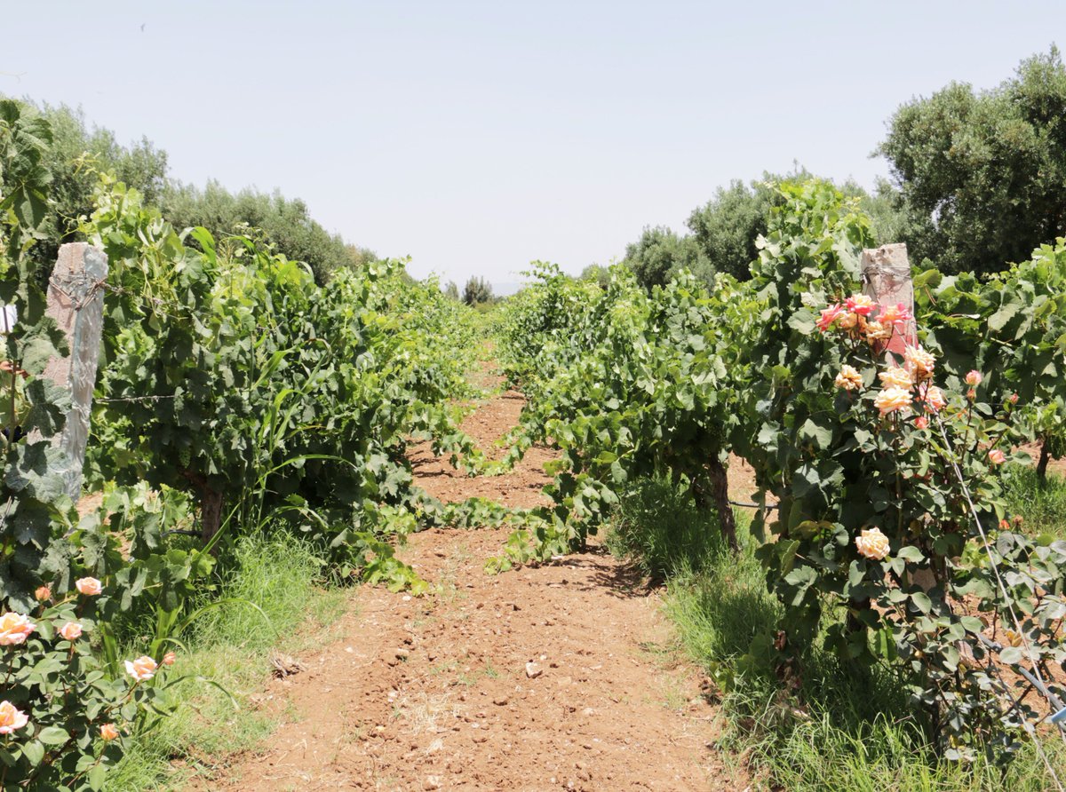 [A LIRE] Bon, marre de tout ce gris... On part à Marrakech ?
bit.ly/29cd3Mz