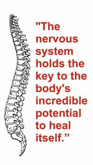 BluSkye_massage's tweet image. The nervous system....#nervoussystem #yourback #health