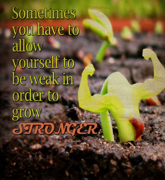 bulk_software's tweet image. Sometimes you have to allow yourself to be weak in order to grow stronger.
#strong #quotesforlife #Thoughts