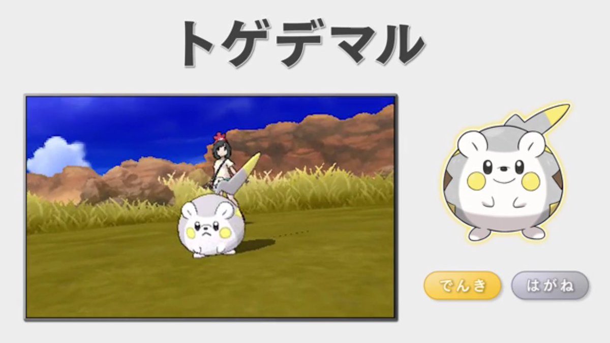 ななし Pa Twitter トゲデマル 第7世代のデデンネの後継者と思われるポケモン まん丸して可愛いらしいですね まあデデンネの方が可愛いですけどね