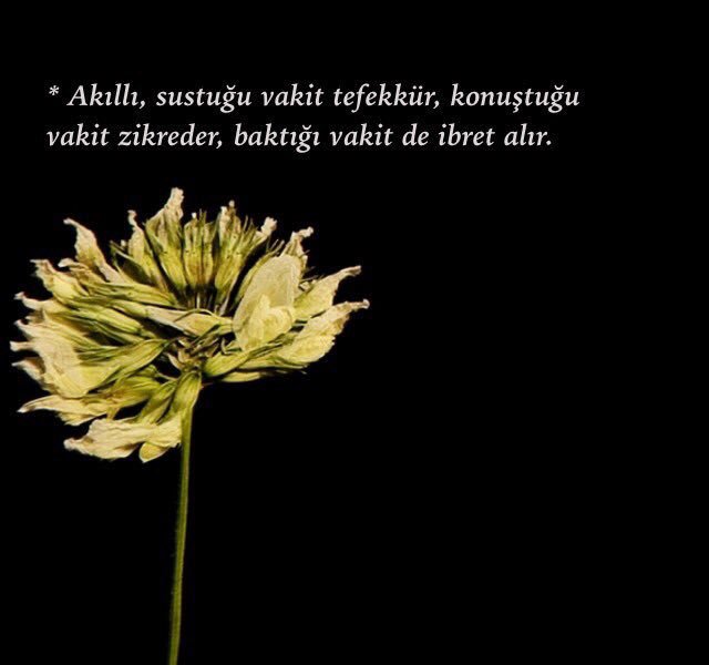 Dua kapısı (@dua__kapisi) on Twitter photo 