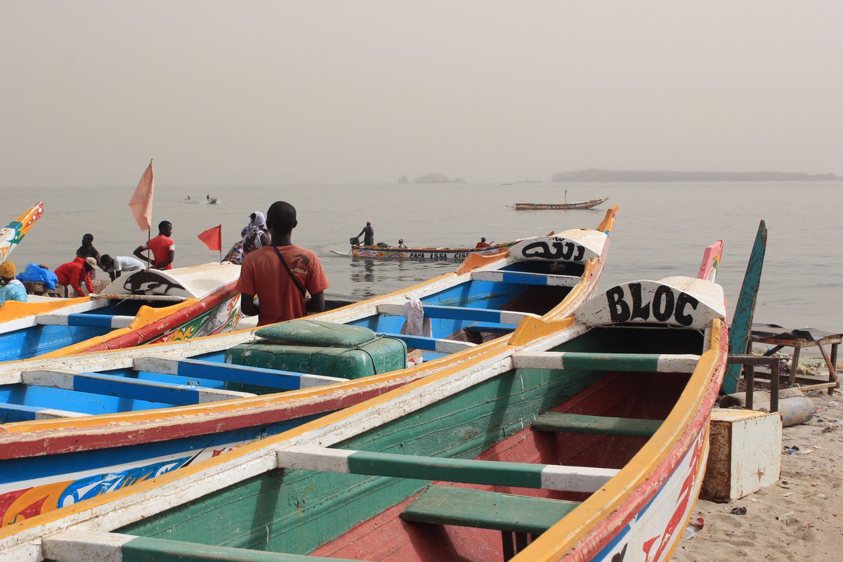 ParisienneOvers's tweet photo. [New article] Discover #Senegal TOP 10 things to do https://t.co/gp2uLJveo4 #visiterlafrique #discoversenegal #trip https://t.co/94scmaoiDU