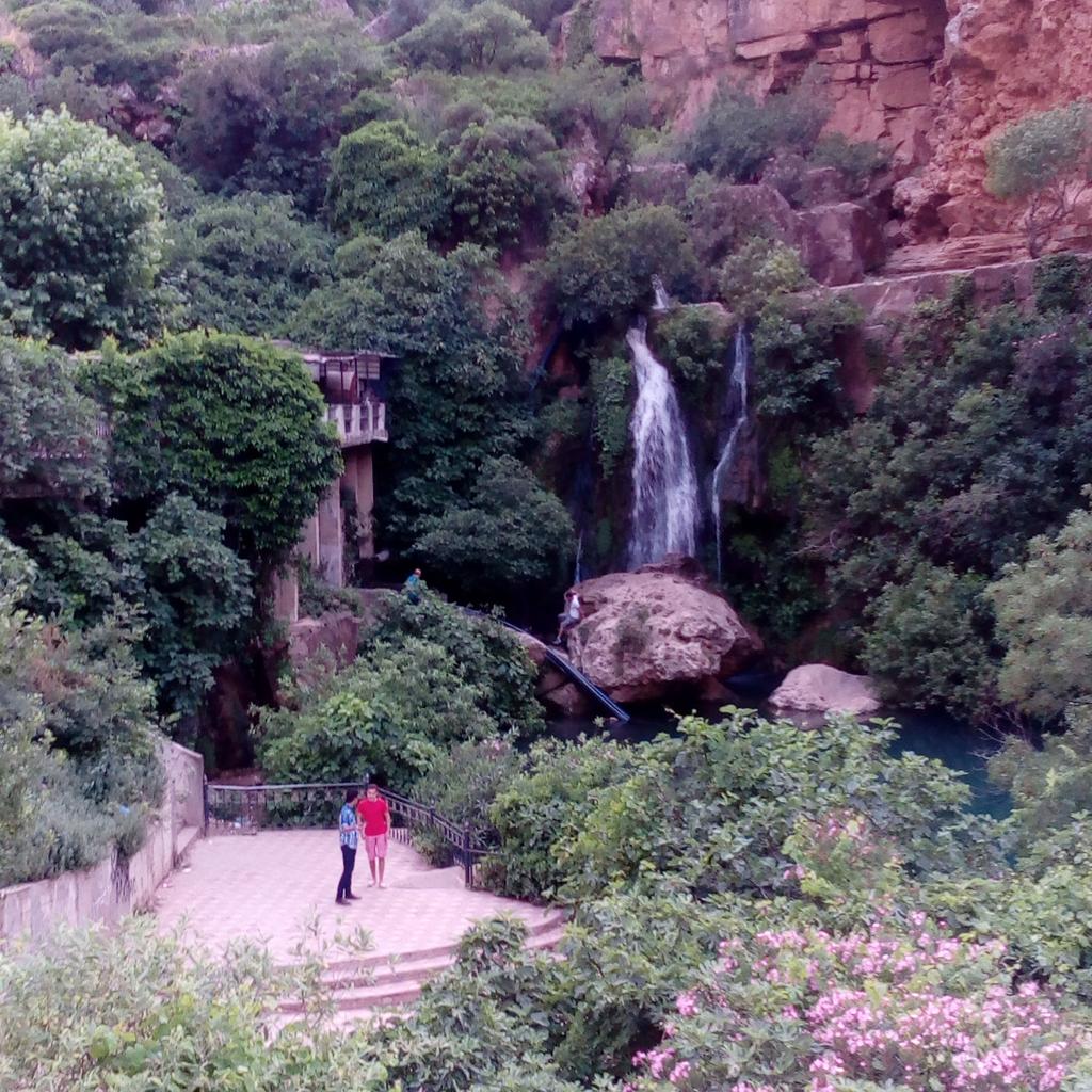 souha_amina's tweet photo. تلمسان الجزائر #اجمل_صوره_التقطها_بعدستك https://t.co/PqGHHKYJB9