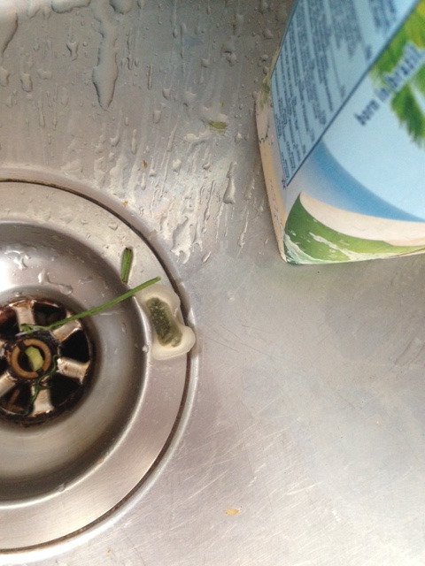 mcreweread's tweet photo. This little fella came out of my @VitaCoco this morning! Drinkers beware! https://t.co/nWcCoVLxj6