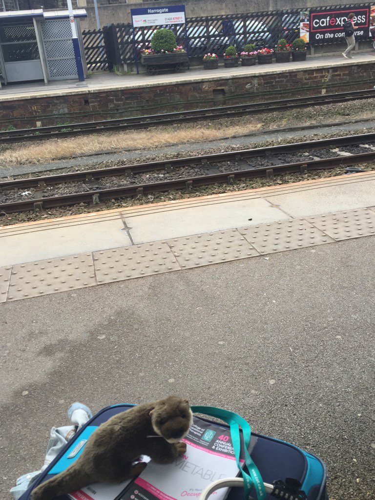 CarolynHay's tweet image. EliOT all packed up with somewhere to go. leaving #COT2016 to travel to India with @robwilson789 #CUOTter