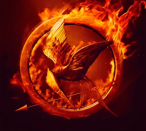 NashGrierLuv's tweet photo. I have an obsession with The Hunger Games 😍 https://t.co/EuoPMgd42p