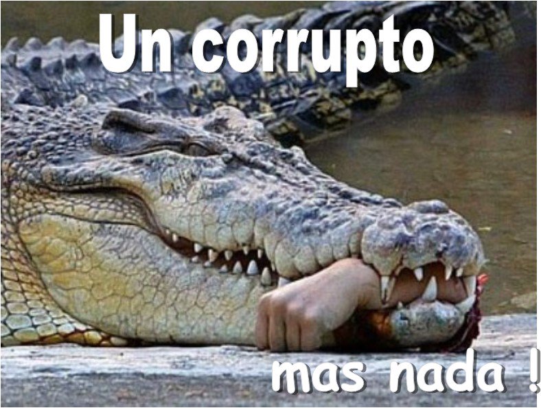 Rafael Morales (@rafaelmorales1) on Twitter photo 