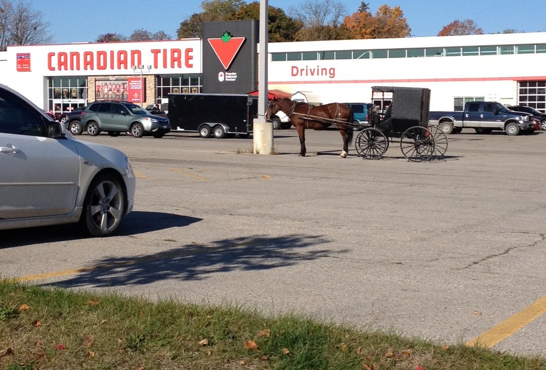 IntegralTBG's tweet photo. @TazFM96 ppl ride horse and buggy to the store only half hour away from London.  #getoutmuch https://t.co/yiFtkarJAo