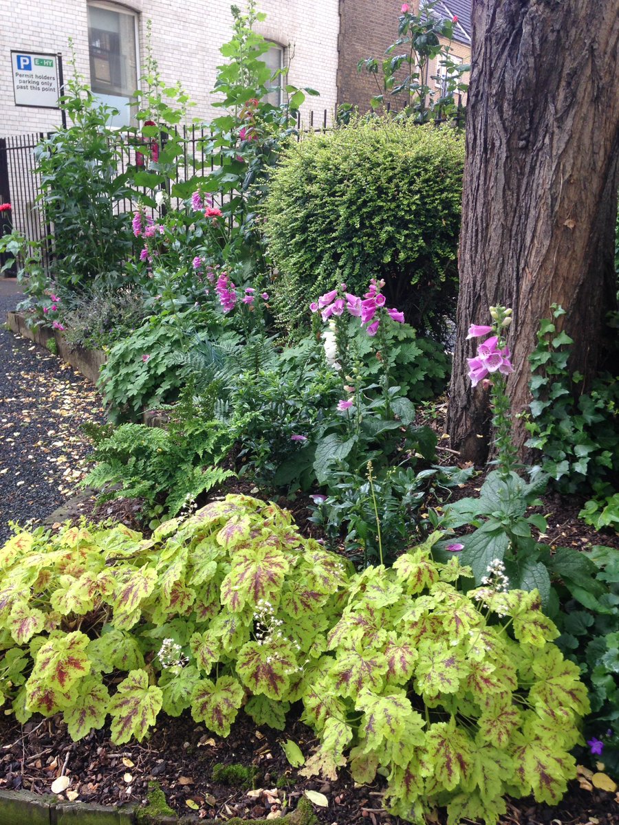 Richard_001's tweet photo. Very pleased with progress at our @mobilegardeners Elliott's Row Pocket Park. Nice chat with Sue Harding this morn https://t.co/2WEPeO0aYn