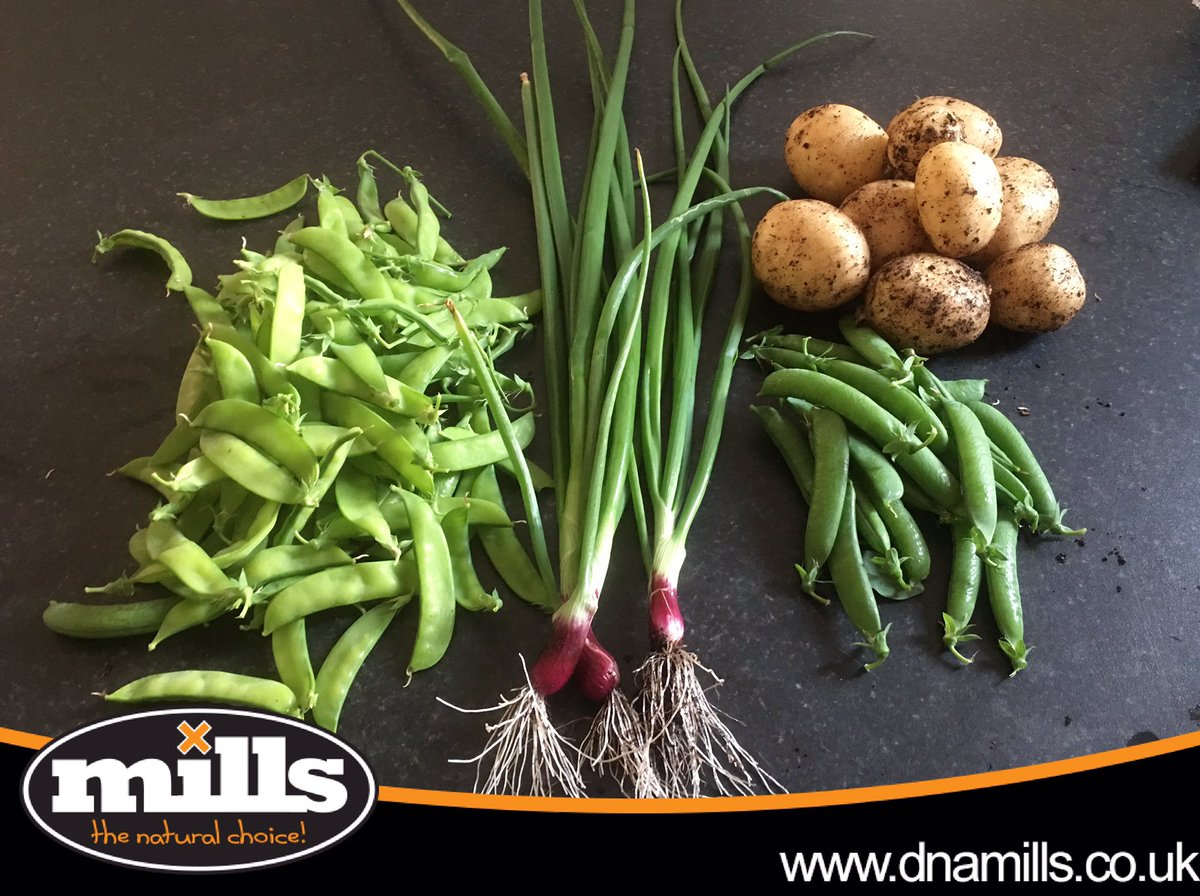 All Mills nutrients and soil!