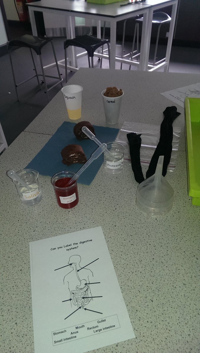 OAFScience's tweet photo. @OutwoodFoxhills Getting ready to make poo with our fantastic year 6 visitors! https://t.co/wCSGJ3dJ2g