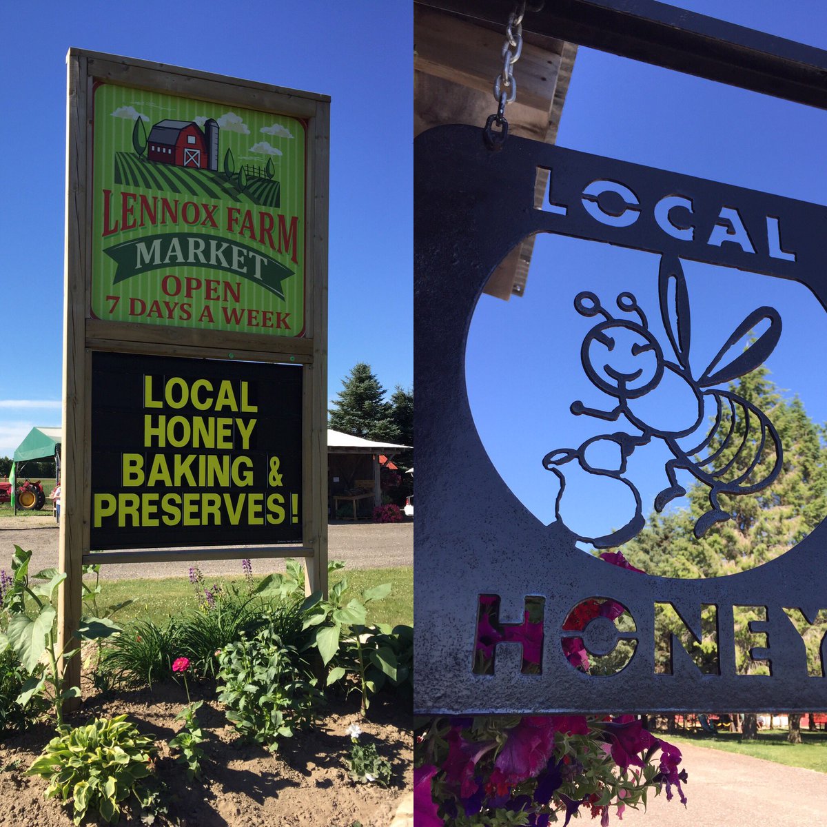 OspreyBeekeeper's tweet photo. ..#honey #raw #localfood from #bees 2 #beekeeper 2 U @FarmLennox 😊 https://t.co/hvfnhwsRw9