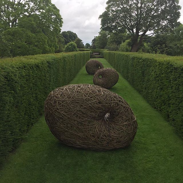 FlowGallery's tweet photo. Installing Annemarie O'Sullivan&amp;Tom McWalter EyeSpy sculptures @nationaltrust Lytes Cary Manor #willowwork #somerset https://t.co/RfsLQVH8og