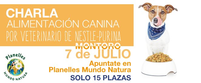 PlanellesMundoN's tweet photo. CHARLA SOBRE ALIMENTACIÓN CÁNICA que celebraremos el próximo 7 de Julio.
Tenemos la inscripción abierta en tienda https://t.co/R3wYDBqeAE