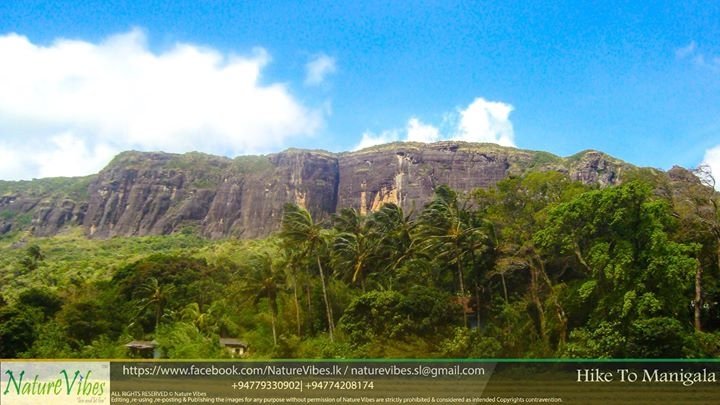 NaturevibesSl's tweet image. Climbing Maningala is a rewarding exercise.
Contact us &amp;amp; feel the nature of Manigala.
