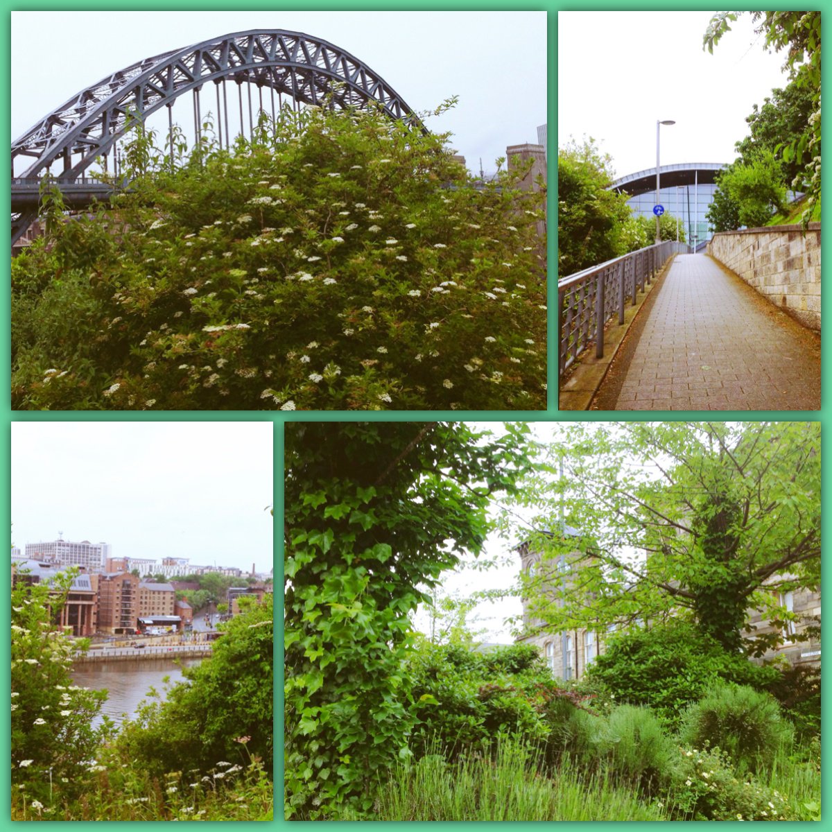 KelvinGrovePS's tweet photo. year 6 celebrating Gateshead, editing their own photos... https://t.co/8fSslXXi9n