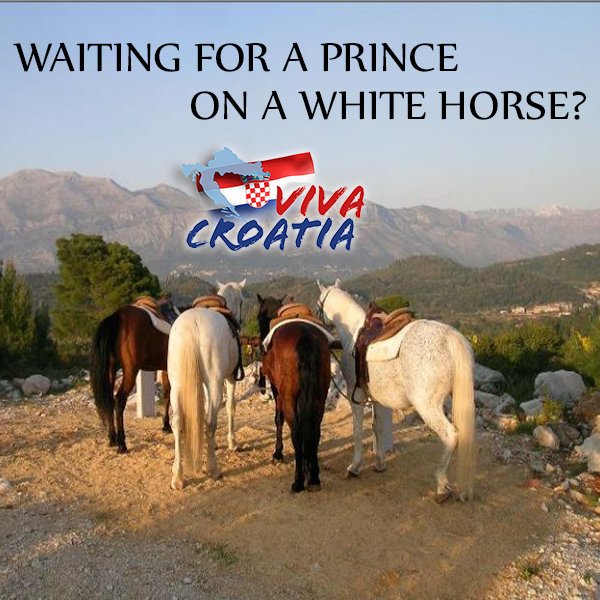 You can see your prince on a white horse, or be one with this tour!

Book now: bit.ly/297Tsdm