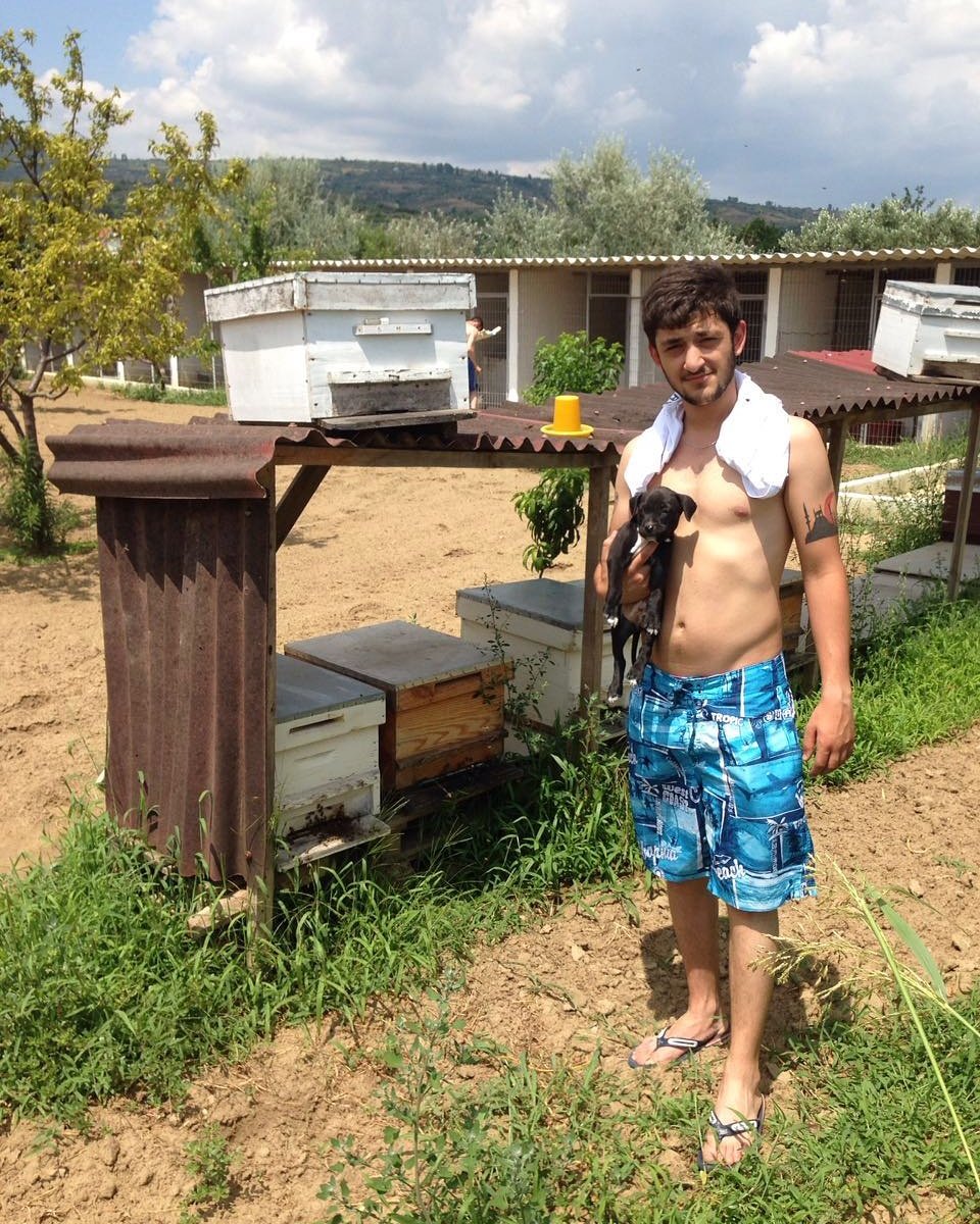 Ethemaktemur's tweet photo. Ogluma hayvanları tanitirken arilari boş geçmemek lazım :) https://t.co/hn4hEiAQFb