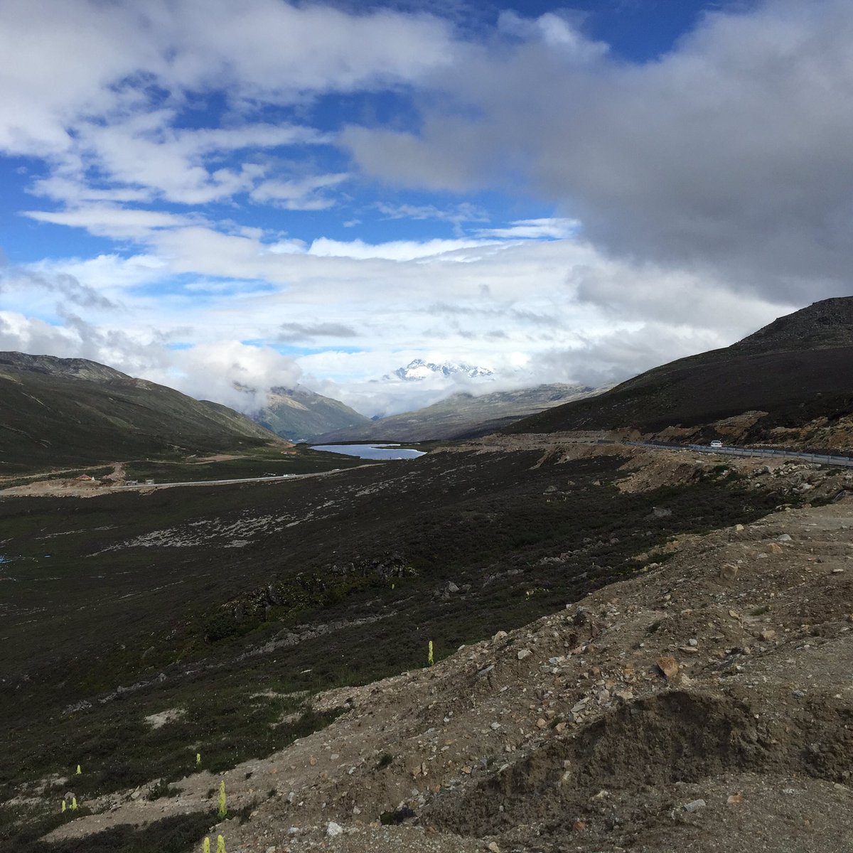 Ngaire (@ngaireburston) on Twitter photo China was utterly amazing <a href="/LandscapeSheff/">Landscape Sheffield</a> <a href="/SallyOHal/">Dr.Sally O' Halloran ☘️</a> when can we go back? <a href="/KevockGarden/">Kevock Garden Plants</a> China was utterly amazing <a href="/LandscapeSheff/">Landscape Sheffield</a> <a href="/SallyOHal/">Dr.Sally O' Halloran ☘️</a> when can we go back? <a href="/KevockGarden/">Kevock Garden Plants</a>