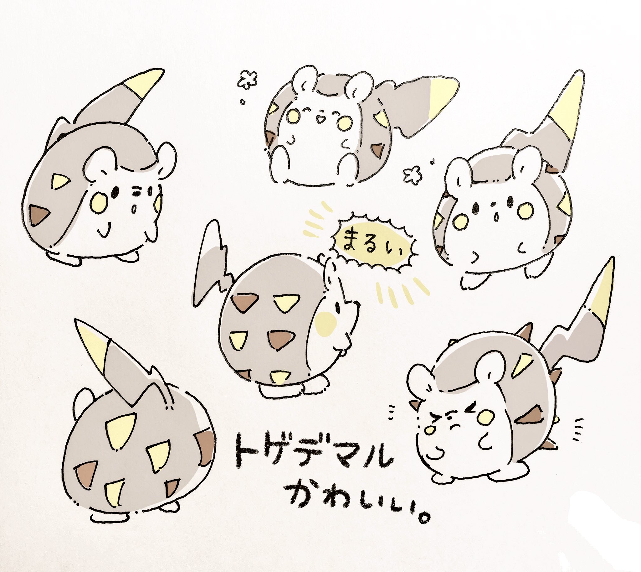 ポケモン トゲデマル Meih Org