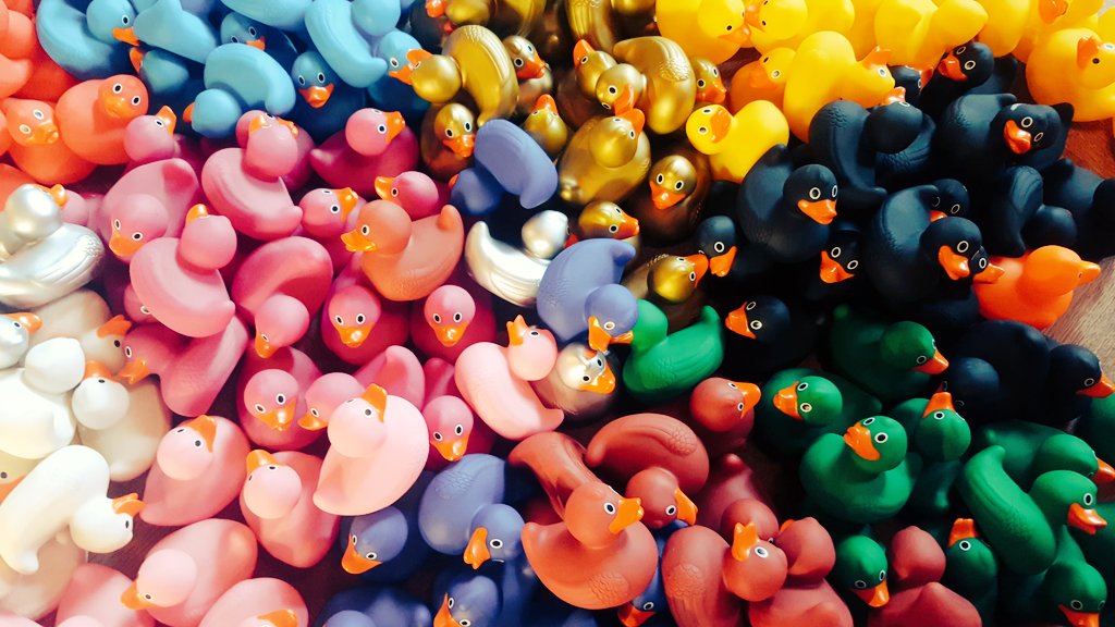 Getting ready for our annual #duckrace on the 6th August #funday #duckarmy #onlyatfullers