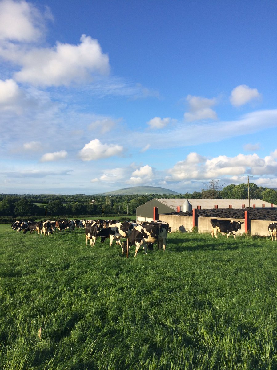 #grasstomilk