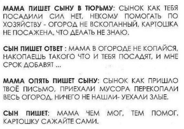 Эстония выдала Украине своего гражданина, воевавшего за боевиков "ЛНР", - СБУ - Цензор.НЕТ 8507