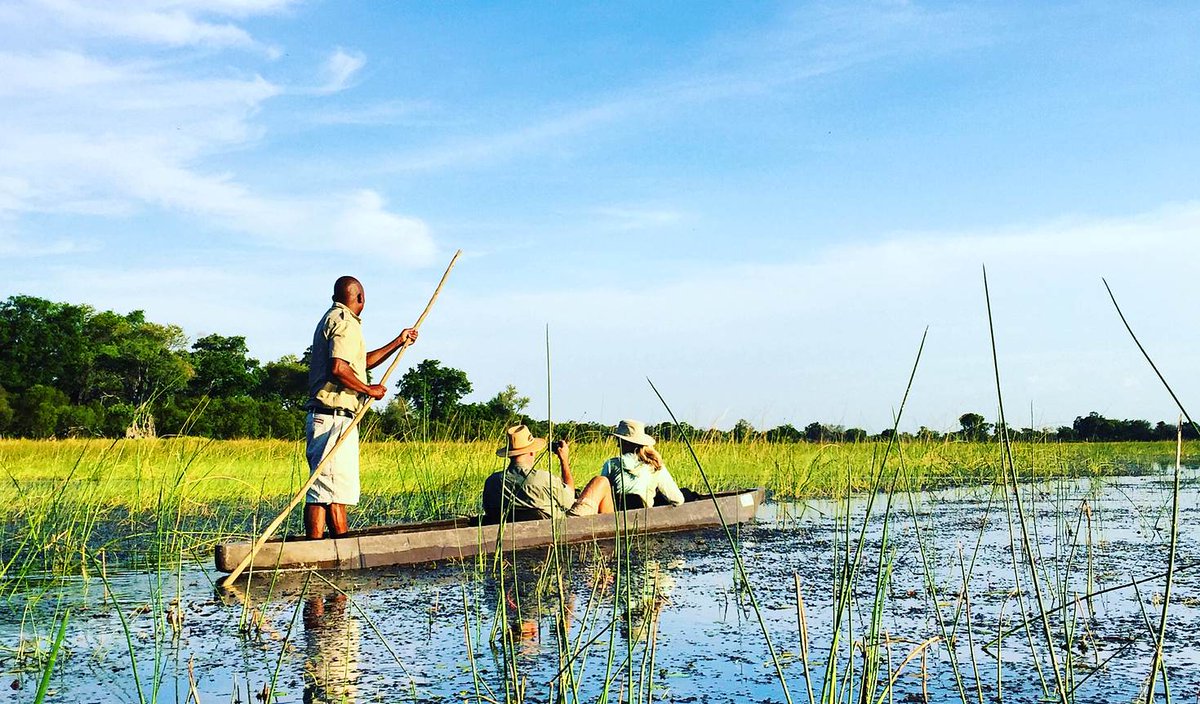 lonelyplanet's tweet photo. Deltas, deserts and rivers: @Go2MattPhillips goes on not one, but THREE safaris in #Botswana https://t.co/w2J6C1xxo9 https://t.co/2XFtbEUnqN