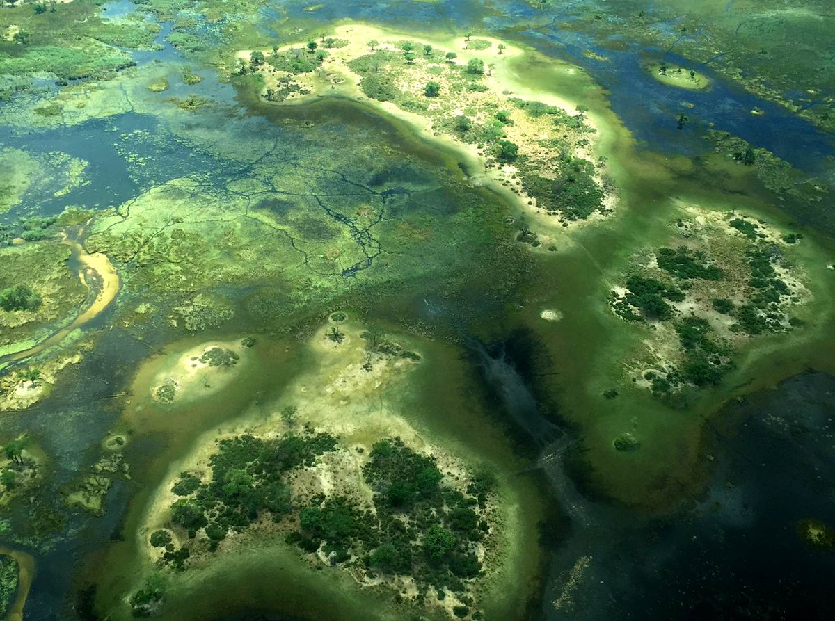 lonelyplanet's tweet photo. Deltas, deserts and rivers: @Go2MattPhillips goes on not one, but THREE safaris in #Botswana https://t.co/w2J6C1xxo9 https://t.co/2XFtbEUnqN