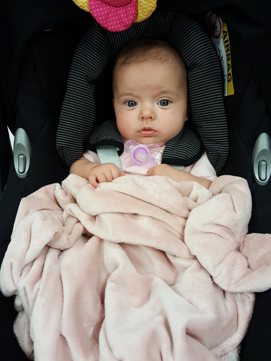 bestrongfran's tweet photo. When you're so glad you had a spare vest and blanket! #shitexplosion https://t.co/nYrmXXa4sh