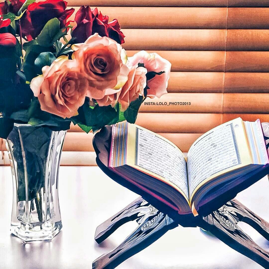 أكثِـروا من قول "ربي إغفرلي ولوالدي"
فإنها تجمع بين عبادتين: البر والإستعفار 💗