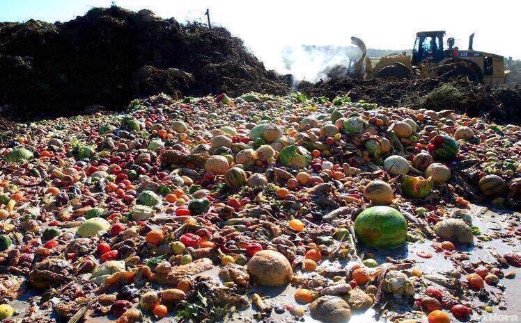 Más de 800 millones personas pasan hambre 💔
¿Por qué permitimos que se tiren alimentos?
RT 🆘 Si quieres CAMBIAR esto