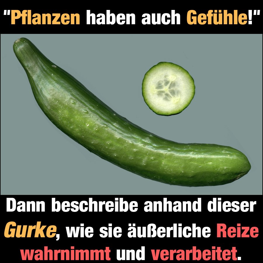 #vegan #funny #witz #witzig #lustig #humor #lachen #joke