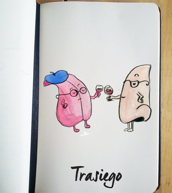 Sabor sólo para verdaderos #Conocedores
¿Eres capaz de reconocer todos los aromas de #Nebbiolo?