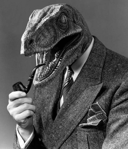 RaptorMCoolDude's tweet photo. Hello. I am Velociraptor McCoolDude. I am a pretty cool dude. https://t.co/9RpnSFXFnC