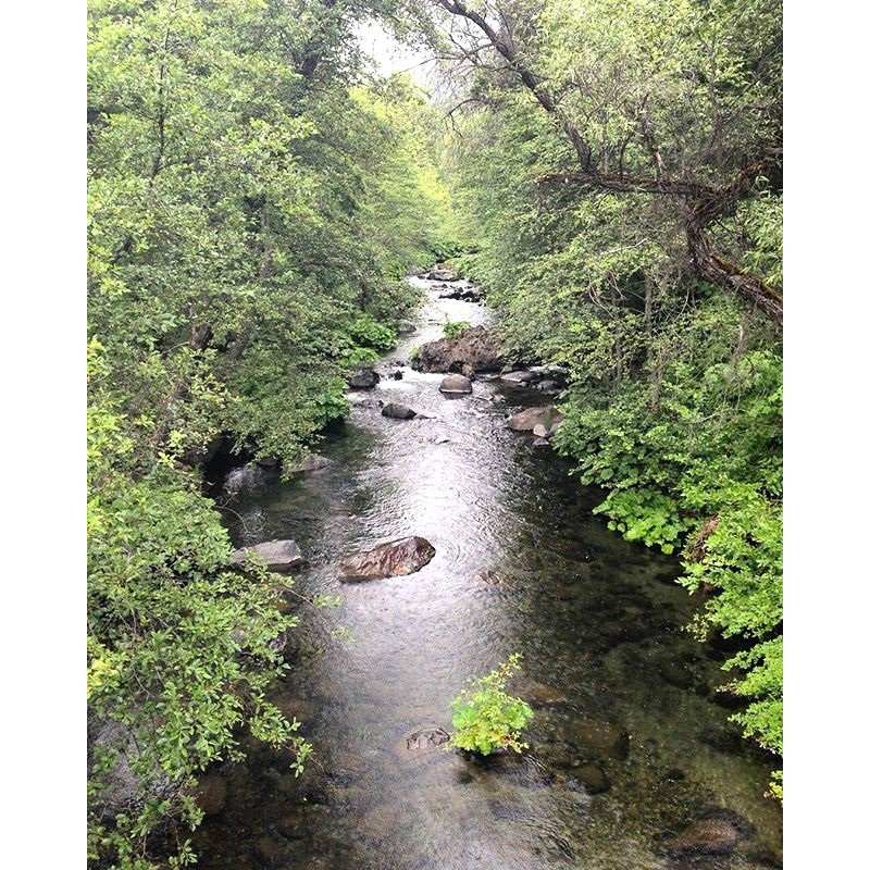 SolMexicanChico's tweet photo. Gorgeous Upper Bidwell photo by, upper_park_chico! 🏞 https://t.co/4yBIH6yKmX