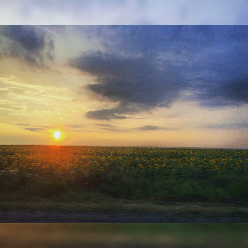 PolyaFursa's tweet image. Я бачу навколо каміння і квіти
Міста і вокзали ,І сонце , і сніг 
#яїдудодому 😱❤️👨‍👩‍👧‍👦🌅🌻🌾