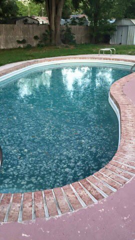 WatermarkPool's tweet photo. Excited to be able to finally post pictures of these pools. https://t.co/mlFZIFNOrd