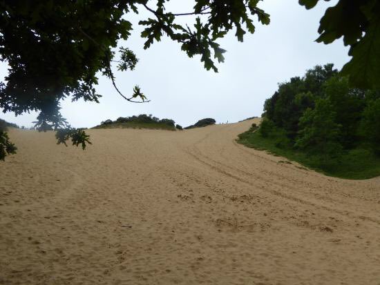 Tomorrows office 🏃🏻💨😅😵 #duneofdeath #merthyrmawr #help #YesThatsPeopleAtTheTop 😖