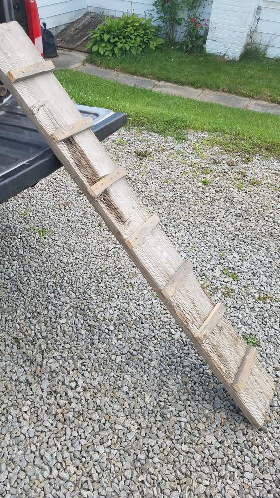 ZRIKHA_Eth's tweet photo. This simple ramp can help #skunks escape from basement window wells. #nuisanceanimals https://t.co/QT7W6XadvW