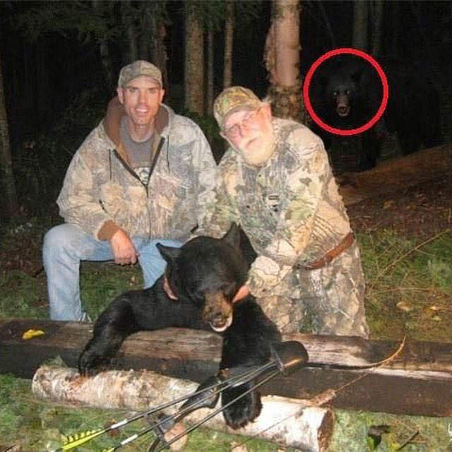AmrakGear's tweet photo. When karma attacks #uhoh #karma #bears #huntingtrip #watchout #yikes @AmrakGear https://t.co/jB6VL66gK9